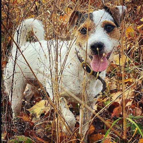  تا چند روز اصن غذا نمی خوردم اره دیگه من خیلی درد کشیدم